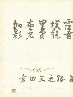 加布里埃霍尔电影免费观看