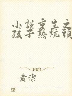 小说重生之老婆孩子热炕头封面