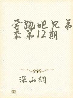 奔跑吧兄弟第五季第12期