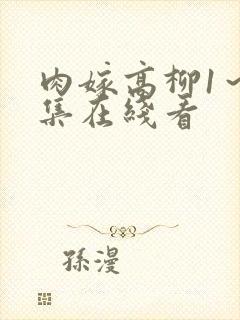 肉嫁高柳1～4集在线看