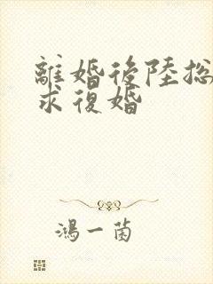 离婚后陆总哭着求复婚封面