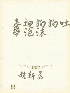 泰迪狗狗吐黄水带泡沫