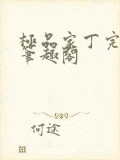 极品家丁完整版笔趣阁封面