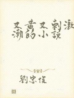 又黄又刺激又高潮的小说封面