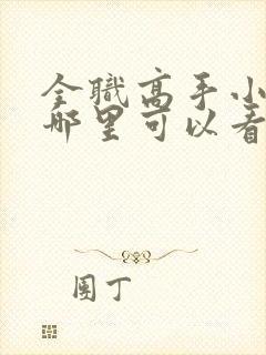 全职高手小说在哪里可以看