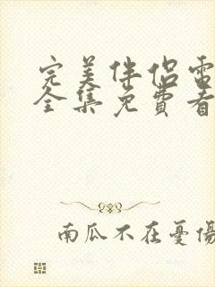 完美伴侣电视剧全集免费看封面