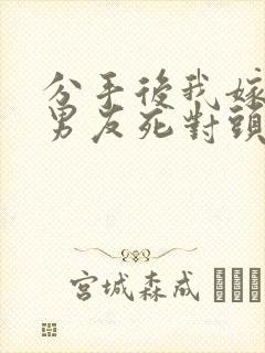 分手后我嫁给前男友死对头宋颜全本阅读