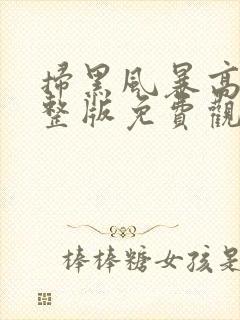 扫黑风暴高清完整版免费观看28集