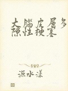 大脑皮层多发腔隙性梗塞