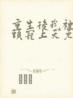 重生后我被死对头宠上天免费