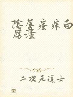 阴唇瘙痒白带豆腐渣