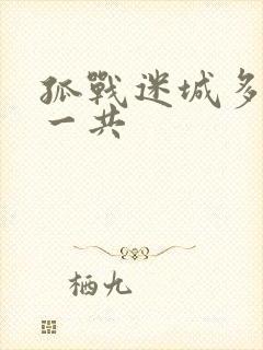 孤战迷城多少集一共