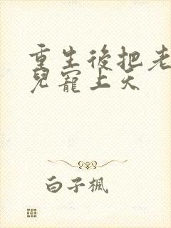 重生后把老婆女儿宠上天