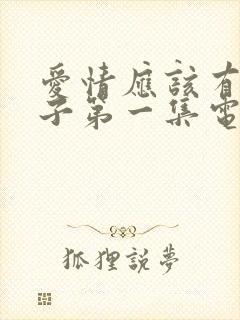 爱情应该有的样子第一集电视剧封面