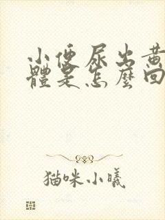 小便尿出黄色液体是怎么回事