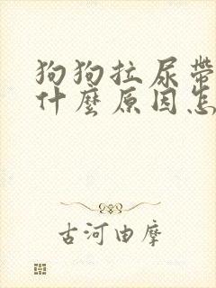 狗狗拉尿带血是什么原因怎么治疗封面