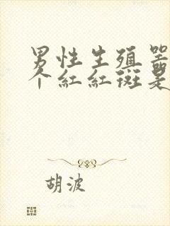 男性生殖器边长个红红斑是怎么了