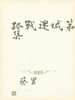 孤战迷城第40集