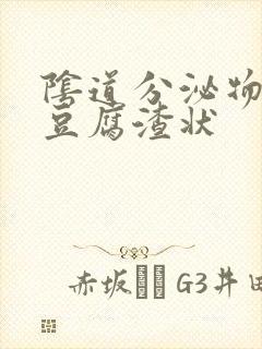 阴道分泌物白色豆腐渣状