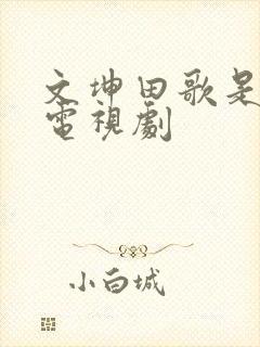 文坤田歌是什么电视剧