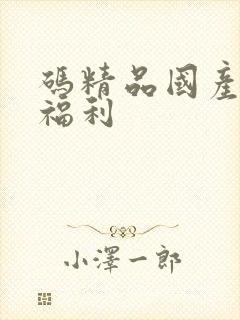 码精品国产91福利