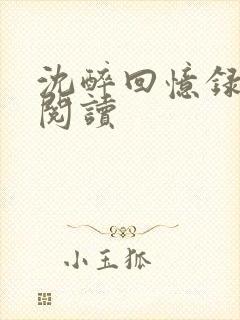 沈醉回忆录在线阅读封面