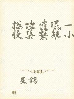 总攻催眠—情欲收集系统小说免费阅