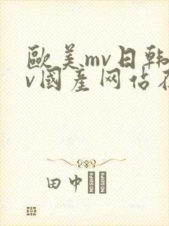 欧美mv日韩mv国产网站在线观看