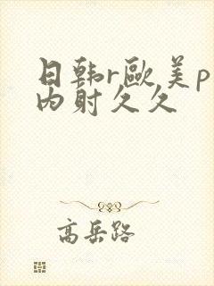 日韩r欧美p片内射久久