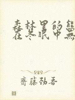 森林里的熊先生在冬眠中无光