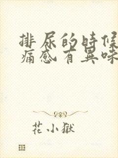 排尿的时候有刺痛感有异味封面