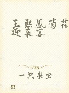 王熙凤菊花门初迎来客