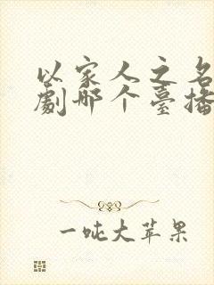 以家人之名电视剧哪个台播放封面