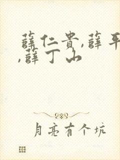 薛仁贵,薛平贵,薛丁山