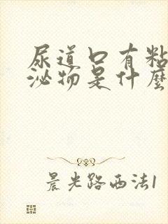 尿道口有粘液分泌物是什么原因封面