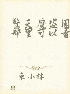 惊天魔盗团3在哪里可以看