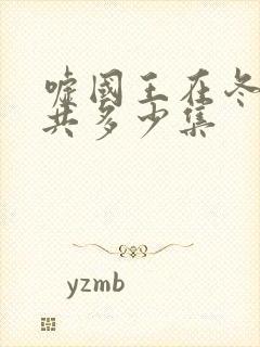 嘘国王在冬眠总共多少集封面