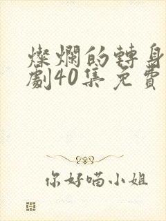 灿烂的转身电视剧40集免费观看全集