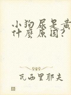 小狗尿是黄的是什么原因?封面