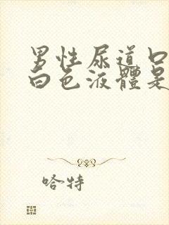 男性尿道口就出白色液体是怎么回事