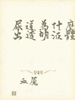 尿道为什么会流出透明液体