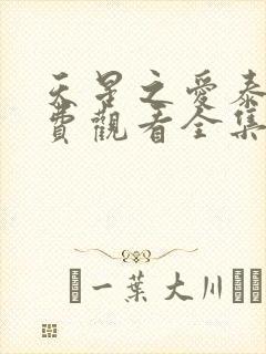 天星之爱泰剧免费观看全集