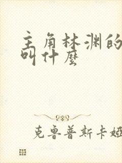 主角林渊的小说叫什么