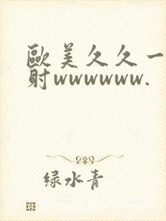 欧美久久一级内射wwwwww.