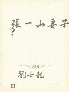 张一山妻子是谁?