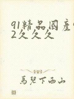 91精品国产92久久久
