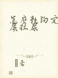 怎么教狗定点拉屎拉尿