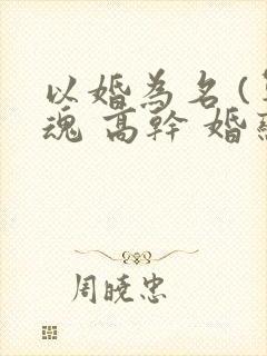 以婚为名 (军魂 高干 婚恋)