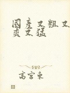 国产又粗又黄又爽又猛