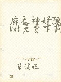 麻衣神婿陈黄皮txt免费下载